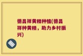 德昌祥黄精种植(德昌祥种黄精，助力乡村振兴)