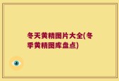 冬天黄精图片大全(冬季黄精图库盘点)
