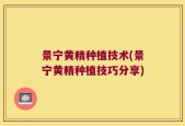 景宁黄精种植技术(景宁黄精种植技巧分享)