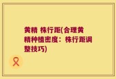 黄精 株行距(合理黄精种植密度：株行距调整技巧)