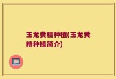 玉龙黄精种植(玉龙黄精种植简介)