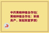 中药黄精种植合作社(黄精种植合作社：采摘高产，架起致富梦想)
