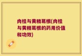 肉桂与黄精葛根(肉桂与黄精葛根的药用价值和功效)