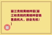 丽江贵阳黄精种苗(丽江和贵阳的黄精种苗销售商机大，创业先机！)