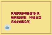 抚顺黄精种植基地(抚顺黄精基地：种植生态农业的新起点)