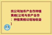 找公司加农户合作种植黄精(公司与农户合作：种植黄精以增加收益)
