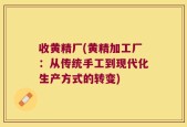 收黄精厂(黄精加工厂：从传统手工到现代化生产方式的转变)
