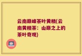 云南巅峰茶叶黄精(云南黄精茶：山巅之上的茶叶奇观)
