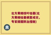 北方黄精枝叶枯萎(北方黄精枯萎病害成灾，专家提醒防治措施)