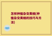 怎样种植杂交黄精(种植杂交黄精的技巧与方法)
