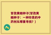 甘孜黄精种子(甘孜黄精种子：一种珍贵的中药材从哪里寻找？)
