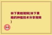林下黄精视频(林下黄精的种植技术分享视频)