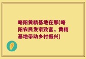 略阳黄精基地在那(略阳农民发家致富，黄精基地带动乡村振兴)