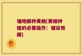 铺地膜种黄精(黄精种植的必要操作：铺设地膜)