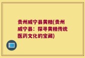 贵州威宁县黄精(贵州威宁县：探寻黄精传统医药文化的宝藏)