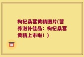 枸杞桑葚黄精图片(营养滋补佳品：枸杞桑葚黄精上市啦！)