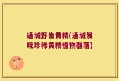 通城野生黄精(通城发现珍稀黄精植物群落)