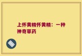 上怀黄精怀黄精：一种神奇草药