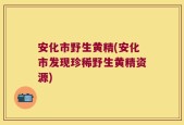 安化市野生黄精(安化市发现珍稀野生黄精资源)