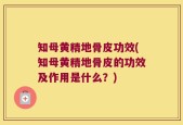 知母黄精地骨皮功效(知母黄精地骨皮的功效及作用是什么？)