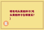 哪有鸡头黄精种子(鸡头黄精种子在哪里买？)