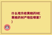 什么地方收黄精药材(黄精药材产地在哪里？)