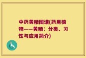 中药黄精图谱(药用植物——黄精：分类、习性与应用简介)