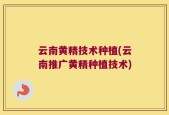 云南黄精技术种植(云南推广黄精种植技术)