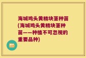 海城鸡头黄精块茎种苗(海城鸡头黄精块茎种苗——种植不可忽视的重要品种)