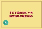 多花小黄精描述(小黄精的功效与用途详解)
