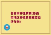 鲁西南种植黄精(鲁西南地区种植黄精重要经济作物)