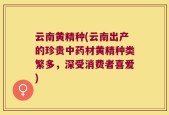 云南黄精种(云南出产的珍贵中药材黄精种类繁多，深受消费者喜爱)