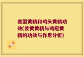 姜型黄精和鸡头黄精功效(姜黄黄精与鸡冠黄精的功效与作用分析)