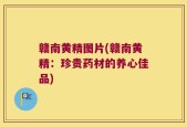 赣南黄精图片(赣南黄精：珍贵药材的养心佳品)