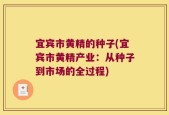 宜宾市黄精的种子(宜宾市黄精产业：从种子到市场的全过程)