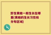 野生黄精一般生长在哪里(黄精的生长习性和分布区域)