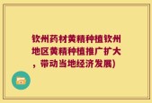 钦州药材黄精种植钦州地区黄精种植推广扩大，带动当地经济发展)