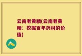 云南老黄精(云南老黄精：挖掘百年药材的价值)