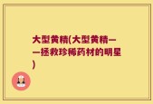 大型黄精(大型黄精——拯救珍稀药材的明星)