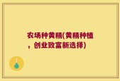 农场种黄精(黄精种植，创业致富新选择)