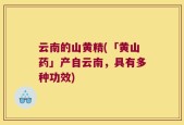 云南的山黄精(「黄山药」产自云南，具有多种功效)