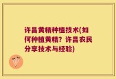 许昌黄精种植技术(如何种植黄精？许昌农民分享技术与经验)
