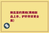 刚出苗的黄精(黄精新品上市，护肝养肾更全面)