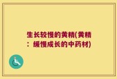 生长较慢的黄精(黄精：缓慢成长的中药材)