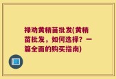 禄劝黄精苗批发(黄精苗批发，如何选择？一篇全面的购买指南)