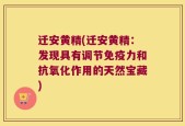 迁安黄精(迁安黄精：发现具有调节免疫力和抗氧化作用的天然宝藏)