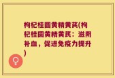 枸杞桂圆黄精黄芪(枸杞桂圆黄精黄芪：滋阴补血，促进免疫力提升)