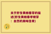 关于野生黄精春芽的描述(野生黄精春季嫩芽：自然的美味佳肴)