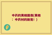 中药的黄精图像(黄精：中药材的新宠！)
