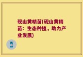 砚山黄精苗(砚山黄精苗：生态种植，助力产业发展)